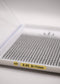 XL 10D Premade Fans Lash Tray