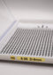 XL 10D Premade Fans Lash Tray